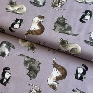 Cotton fabric Cats lavender digital print