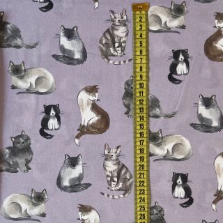 Cotton fabric Cats lavender digital print