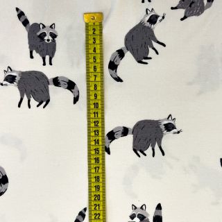 Jersey Raccoon digital print